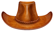Wild Wild West
